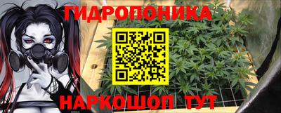 тгк Новодвинск