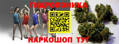 мет Новозыбков